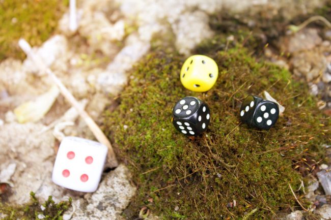 Formation : Le voyage du management